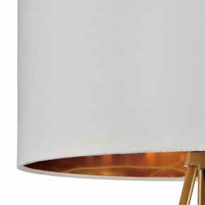 Торшер Lumion Tapioka 8077/1F в Тавде - tavda.ok-mebel.com | фото 6
