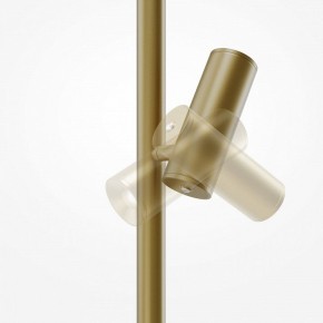 Торшер Maytoni Thin MOD395FL-L28BS3K в Тавде - tavda.ok-mebel.com | фото 6