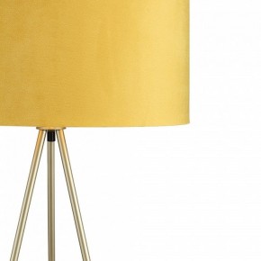 Торшер ST-Luce FUEGO SL6242.205.01 в Тавде - tavda.ok-mebel.com | фото 5