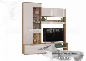 ФЛАЙ Центральная секция ЦС-01 (дуб сонома/белый) в Тавде - tavda.ok-mebel.com | фото 2