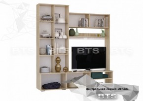 ФЛАЙ Центральная секция ЦС-01 (дуб сонома/белый) в Тавде - tavda.ok-mebel.com | фото 4