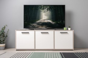Тумба под ТВ 13.283.02 Винтаж в Тавде - tavda.ok-mebel.com | фото 3