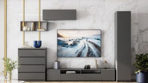 Тумба под ТВ Сибити в Тавде - tavda.ok-mebel.com | фото 3