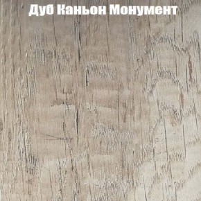 Вешало Лофт V13 в Тавде - tavda.ok-mebel.com | фото 5