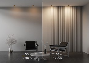 Встраиваемый светильник Maytoni Onda DL024-12W-DTW-BMG в Тавде - tavda.ok-mebel.com | фото 9